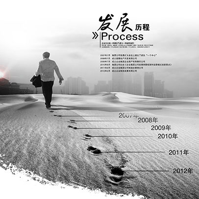 发展历程